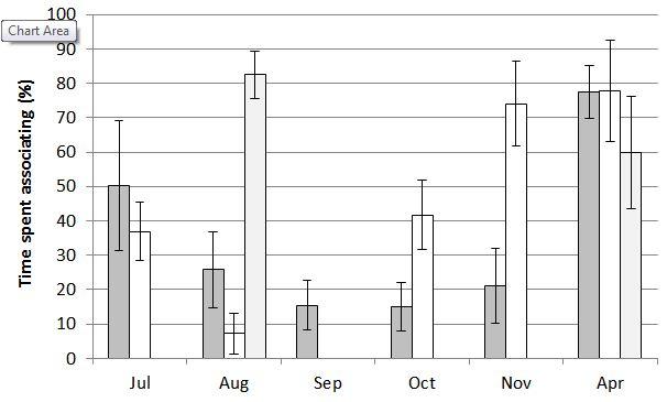 Percentage time groups associating with one another (means with s.e. shown)