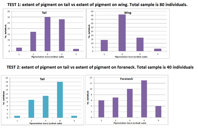 Distribution of scores